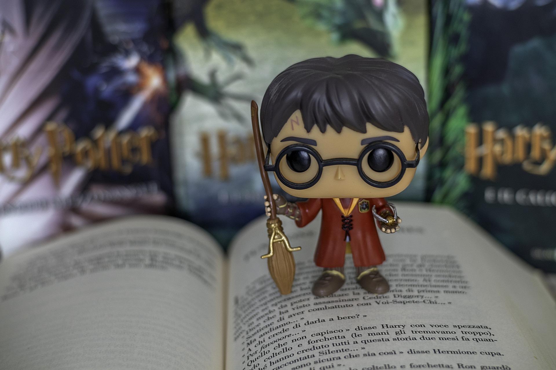 Harry Potter Gadget Vari : : Giochi e giocattoli